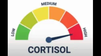 What Is Cortisol Spike And Why GenZ Turned A Stress Hormone Into A Reaction Meme