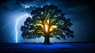 Nature's Electric Secret: UV Camera Captures Trees Glowing During Thunderstorms