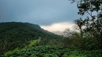Top Monsoon Treks in India for Adventure Enthusiasts