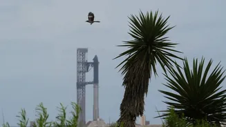 SpaceX Faces Last-Minute Hurdles in Starship Launch Attempt