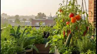 The Edible Balcony Trend Raises New Questions About Greens, Gourds, Chillies and Herbs