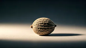 Related Stories banner