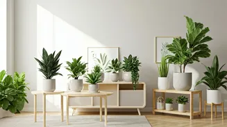 Plants Are Replacing Random Room Decor Quickly