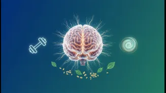 Brain Health Is Built Through Daily Systems, Not One Miracle Product