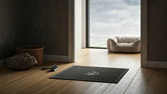 Wet Paws Have Entered Monsoon Home Design