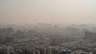 Delhi Air Pollution UN Report: What The Story Says
