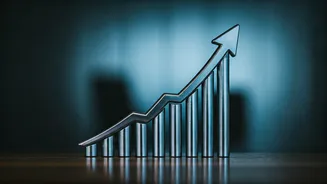 5paisa Capital: Q3 Results & Market Reactions