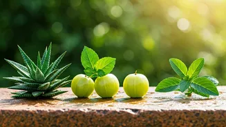 Beat the Heat: 5 Ancient Indian Herbs for Summer Hair Rescue