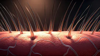 Hair Care Needs Roots, Not Just Length Goals