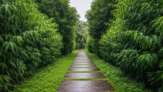 Monsoon Honeymoons Have Entered Safety-First Mode