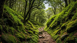Plan Your Next Western Ghats Trek With Crowdsourced Maps