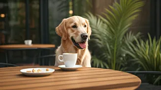Weekend Café Trips Now Include Four-Legged Friends