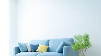 The Over-Styled Shelf Trend Reversal Puts More Empty Space Back In Focus