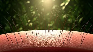 Unlock Hair Growth: The Art of Scalp Massage for Thicker, Fuller Hair