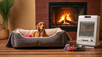 Winter Pet Care: Essential Amazon Finds for Indian Homes