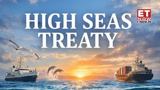 What is High Seas Treaty? World's first legally binding agreement to protect marine life, oceans EXPLAINED