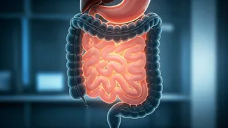 Unpacking the Gut Struggle: Why Bloating, Gas, and Constipation Are on the Rise