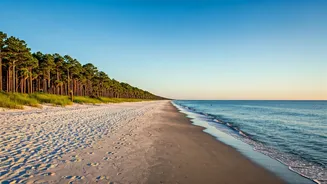 Kiawah Island: A Serene Coastal Escape Near Charleston with Pristine Beaches and Lush Nature