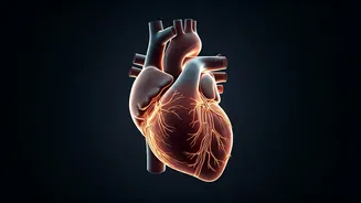 Cardiac Health: Understanding Heart Attacks & Recovery