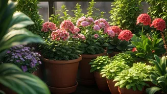 Tiny Balconies Are Turning Into Gardens
