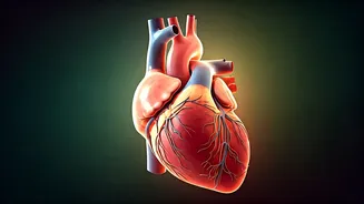 Beyond the Treadmill: Hidden Heart Risks for the Seemingly Healthy Indian