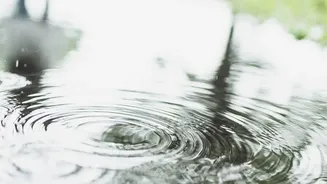 Rainy Conditions Make Low-Impact Controlled Movement More Practical