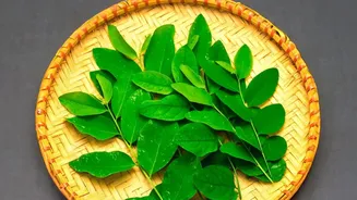 Understanding Moringa In Everyday Meals: Simple Ways To Add Leafy Variety To Meals