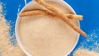 What The Latest Protein Review Says About Different Protein Needs Across Daily Routines