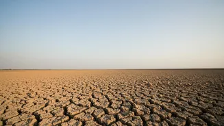 Monsoon Deficit Update: Understanding the Role of 14% Deficit