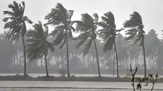Cyclone Alert! Odisha schools shut till Sep 24