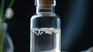 How Fermented Rice Elixir Pazhanthanji Boosts Energy And Gut Microbiome Naturally