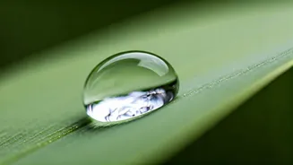 Unlock Your Focus: 5 Powerful Breathing Techniques for Enhanced Concentration