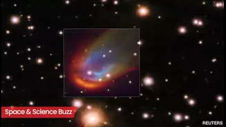 Science & Space Roundup: Top News of the Day (Jan 13)