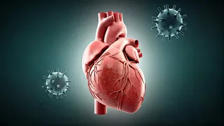 Guard Your Heart: 5 Dietary Pitfalls to Avoid for a Healthier Life