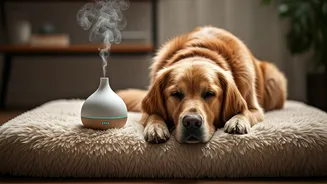 Pamper Your Fur Baby With Elite Aromatherapy Massages In Mumbai