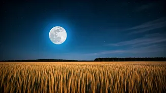 2025's Supermoons: A Celestial Spectacle