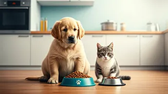 Less Outdoor Time Needs Better Pet Meal Planning