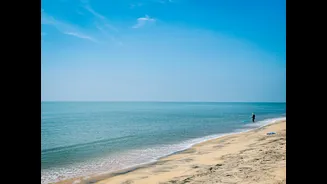 Exploring Winter Beaches in India: A Seasonal Delight