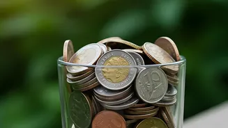 PPF Borrowing Is Limited By Both Account Age And Available Balance
