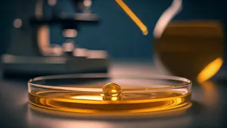 Ghee for Skin: Dermatologists Uncover the Science Behind This Ancient Remedy