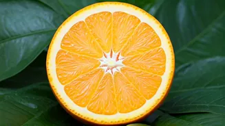 Unveiling India's Nutrient Gaps: Top Deficiencies & Solutions