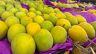 Mango Season Has Arrived! What Is The Cost Of Alphonso Mangoes At Vashi APMC Market? Find Out Here
