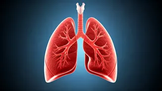 Strengthen Lungs With These Winter Exercises