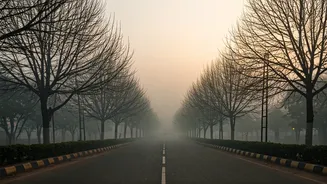 Delhi's Winter Charm: A Moment of Grace