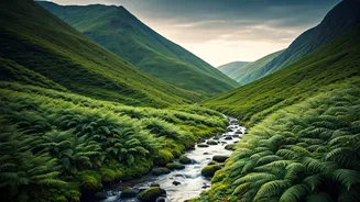 Travellers Want Lush Routes, Not Dry Heat