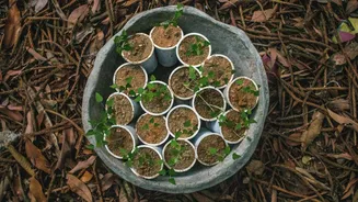 Make your own planters from recycled items