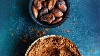 Why South India’s Single-Origin Cocoa Is Driving Innovation In Premium Gifting Cultures