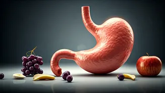 Fruits After Dinner? A Gastroenterologist's Take on Digestion Woes