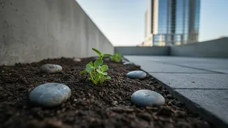 What New Environmental Research Says About Repairing Flooded Soil Bacteria In Cities