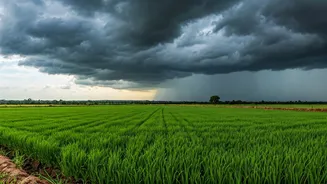 IMD Reports Southwest Monsoon Picking Up Pace In Maharashtra Odisha